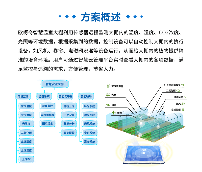 香港宝典大全资料