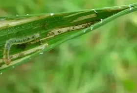 香港宝典大全资料