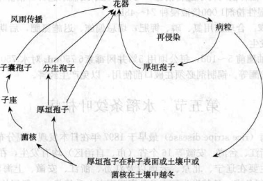 香港宝典大全资料