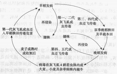 香港宝典大全资料