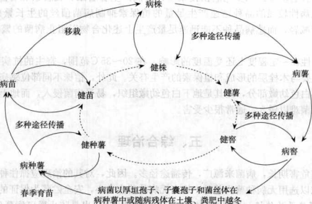 香港宝典大全资料