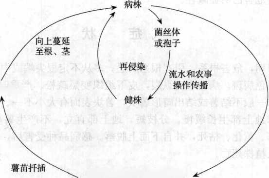 香港宝典大全资料