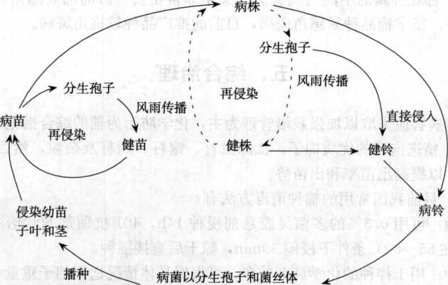 香港宝典大全资料