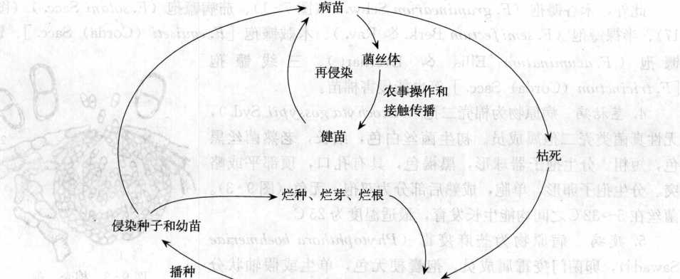 香港宝典大全资料