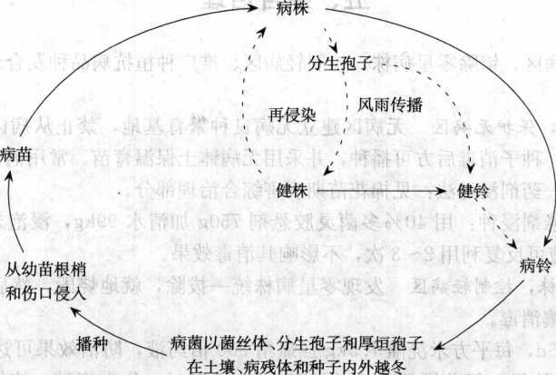 香港宝典大全资料