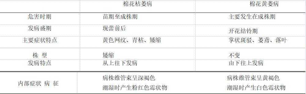 香港宝典大全资料