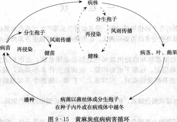 香港宝典大全资料