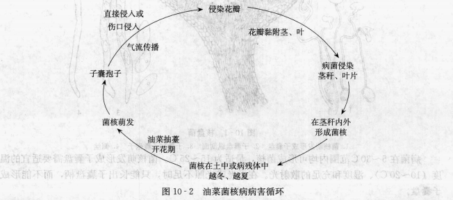 香港宝典大全资料