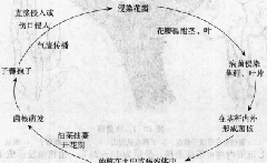 香港宝典大全资料