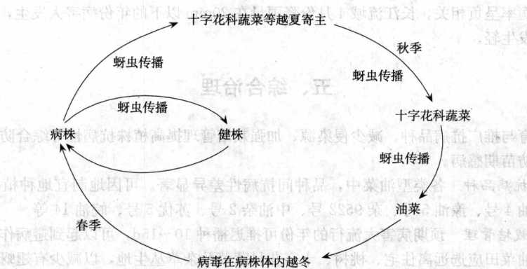 香港宝典大全资料