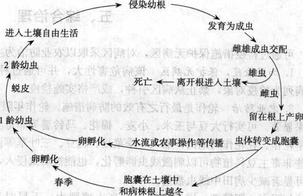 香港宝典大全资料