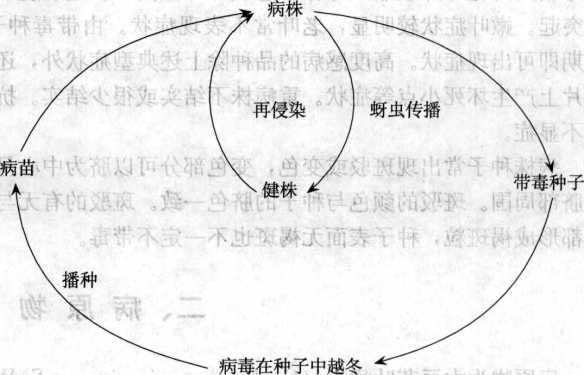 香港宝典大全资料