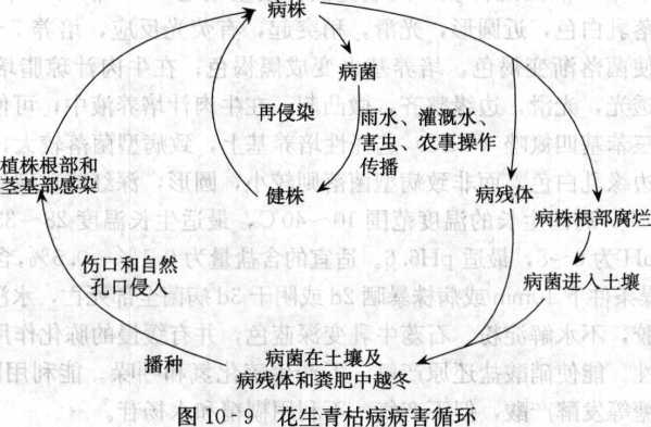 香港宝典大全资料