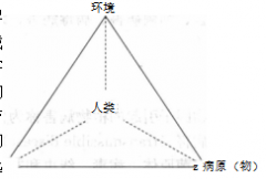 香港宝典大全资料