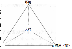 香港宝典大全资料