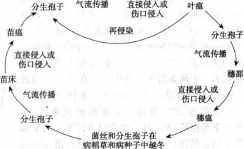 香港宝典大全资料