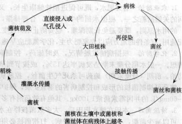 香港宝典大全资料