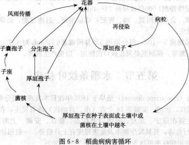 香港宝典大全资料