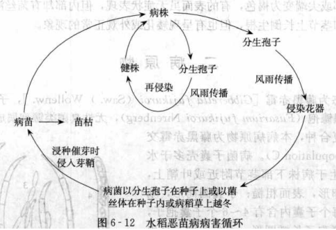 香港宝典大全资料