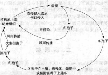 香港宝典大全资料