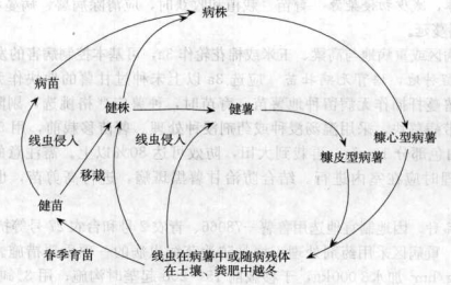 香港宝典大全资料