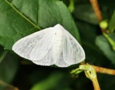 香港宝典大全资料