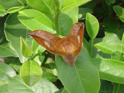 香港宝典大全资料