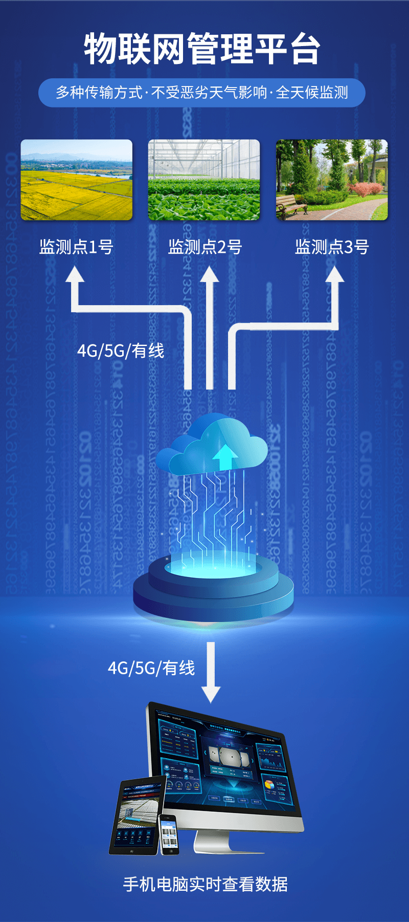 香港宝典大全资料